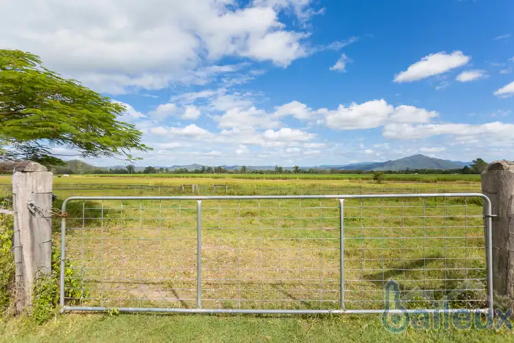 Fifth view of Homely rural property listing, 324 Owens Creek Loop Road, Gargett QLD 4741