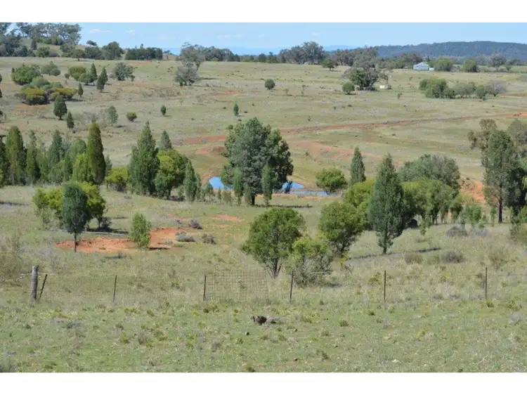 Second view of Homely rural property listing, 1817 Wandobah Road, Gunnedah NSW 2380