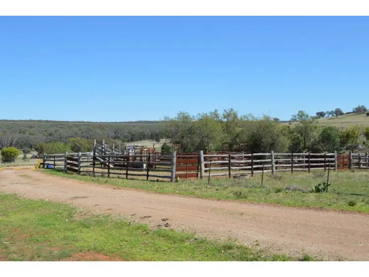 Fourth view of Homely rural property listing, 1817 Wandobah Road, Gunnedah NSW 2380