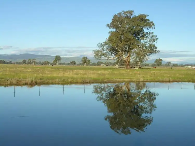 Fourth view of Homely house listing, 260 Saligari Road, Mansfield VIC 3722