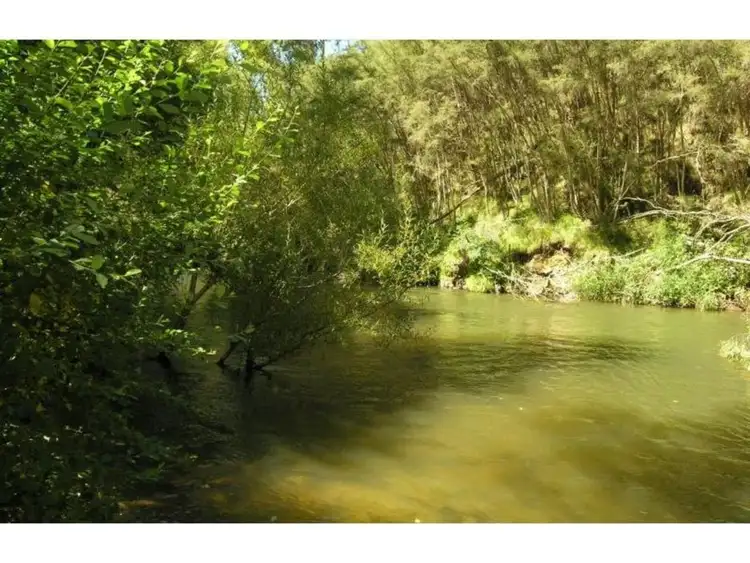 Seventh view of Homely house listing, 4034 Mansfield - Woods Point Road, Jamieson VIC 3723