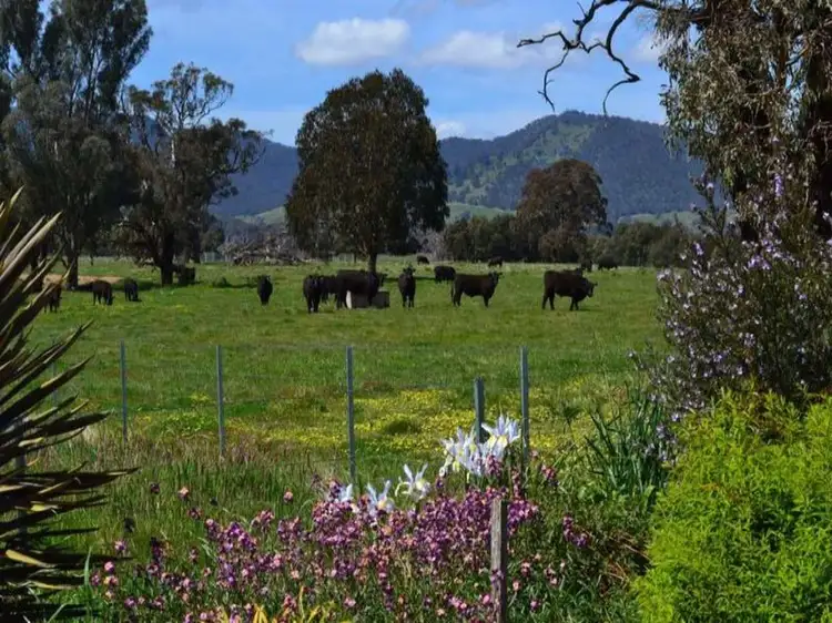 Fifth view of Homely house listing, 43 Danshill Lane, Mansfield VIC 3722