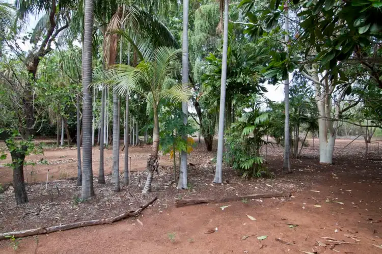 Seventh view of Homely rural property listing, 454 Crossing Falls Road, Kununurra WA 6743
