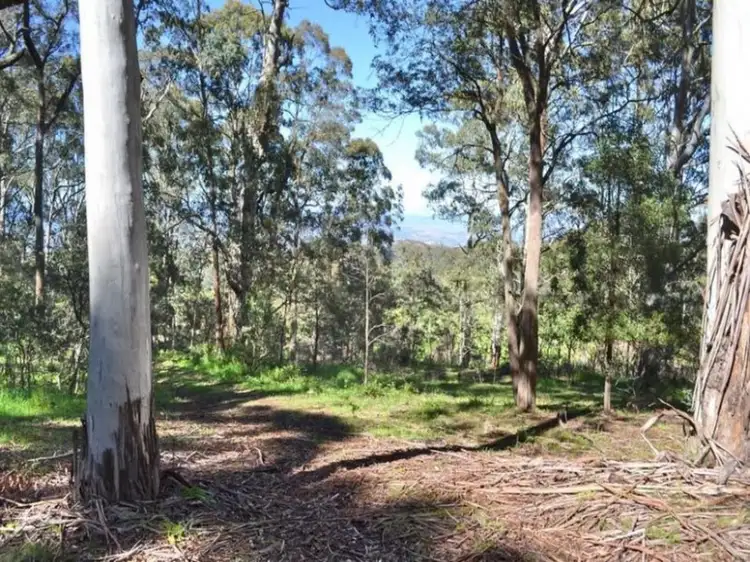 Second view of Homely house listing, 347 Bunstons Road, Tolmie VIC 3723