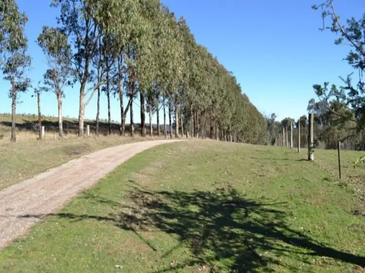 Second view of Homely house listing, 3092 Mansfield-Whitfield Road, Tolmie VIC 3723