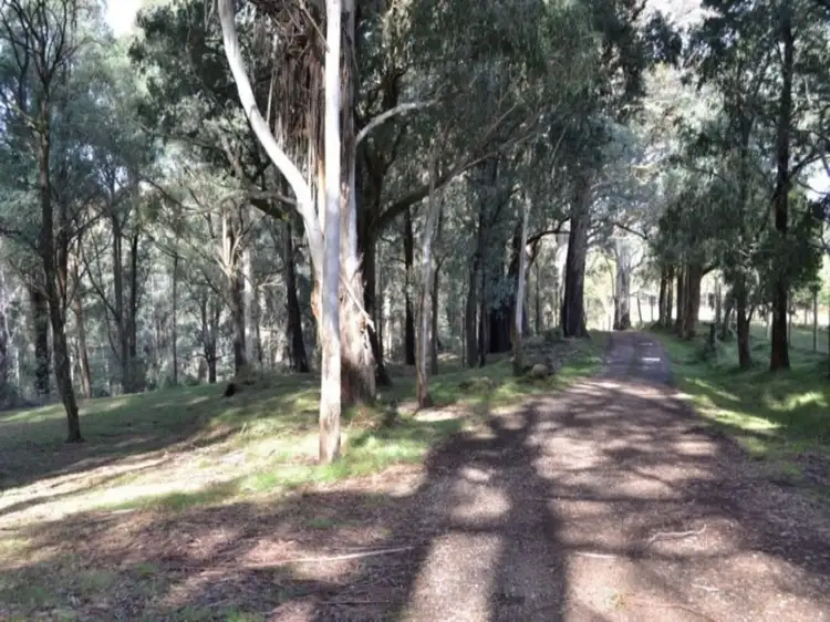 Fourth view of Homely house listing, 3092 Mansfield-Whitfield Road, Tolmie VIC 3723