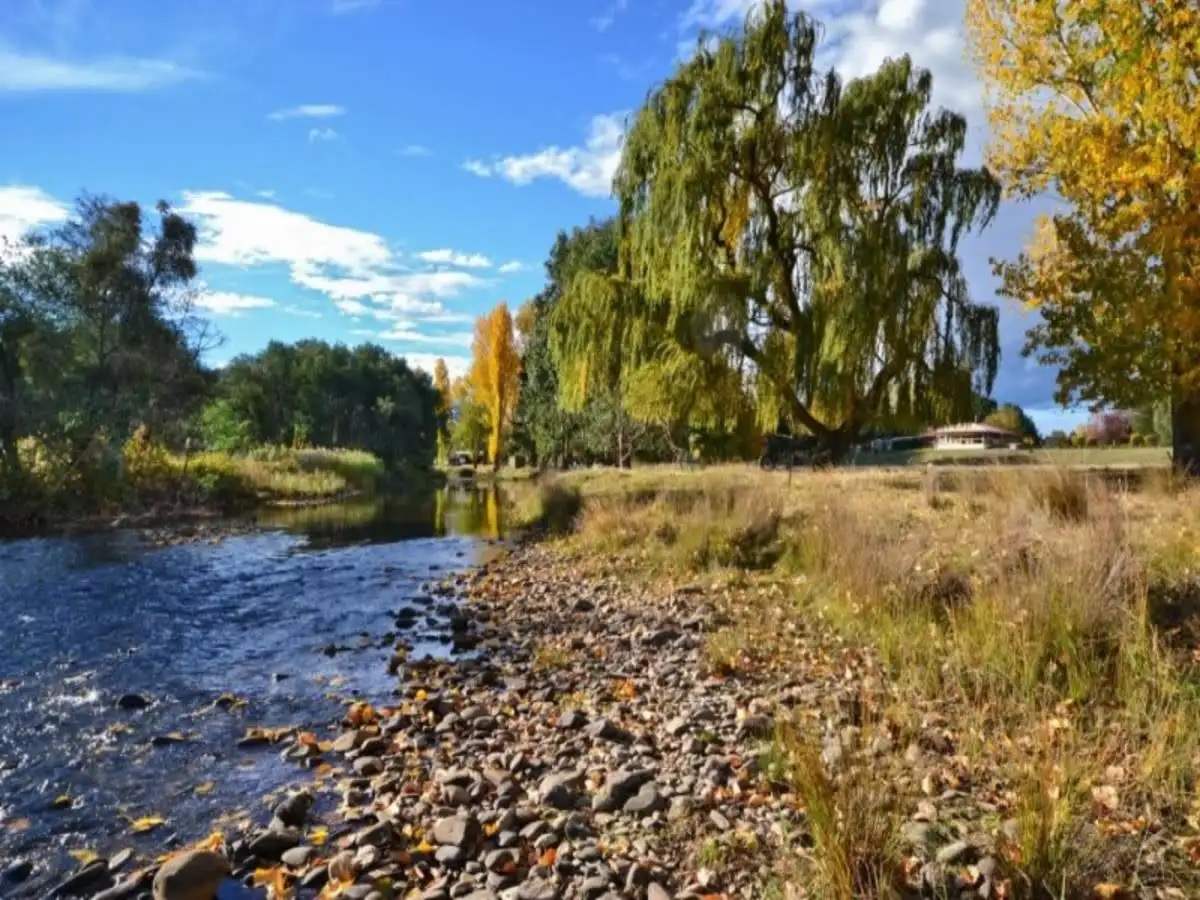 Main view of Homely house listing, 20 Piries-Goughs Bay Road, Mansfield VIC 3722
