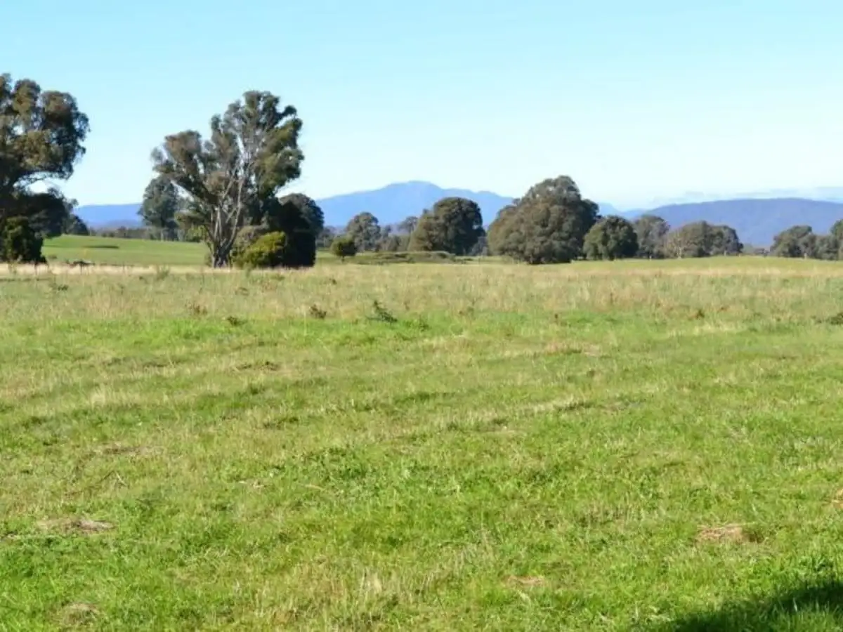 Main view of Homely land listing, 206 Ambrose Drive, Tolmie VIC 3723