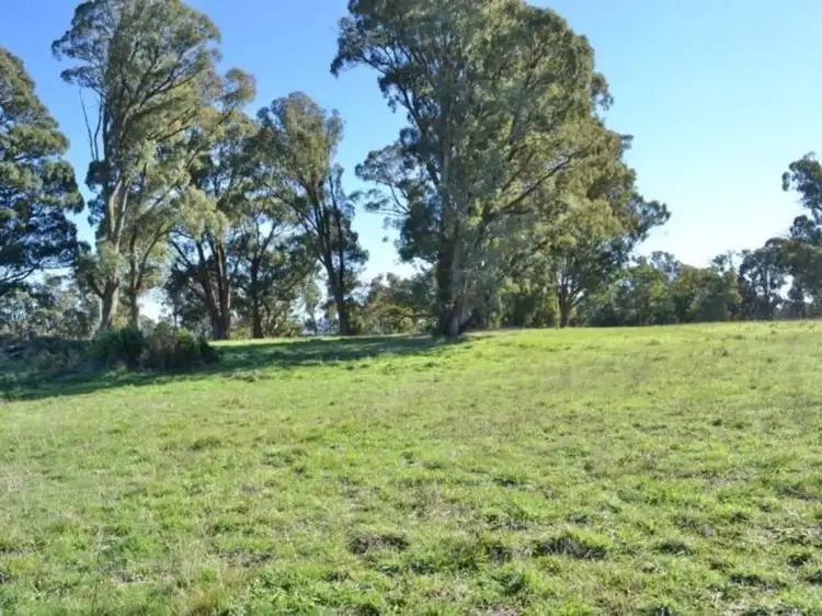 Third view of Homely land listing, 206 Ambrose Drive, Tolmie VIC 3723