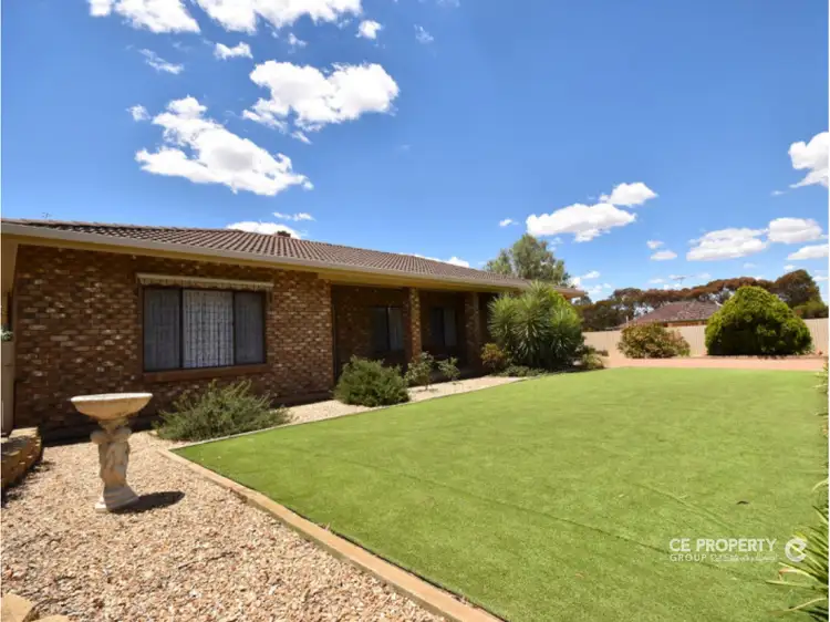 91 Adelaide Road, Mannum SA 5238