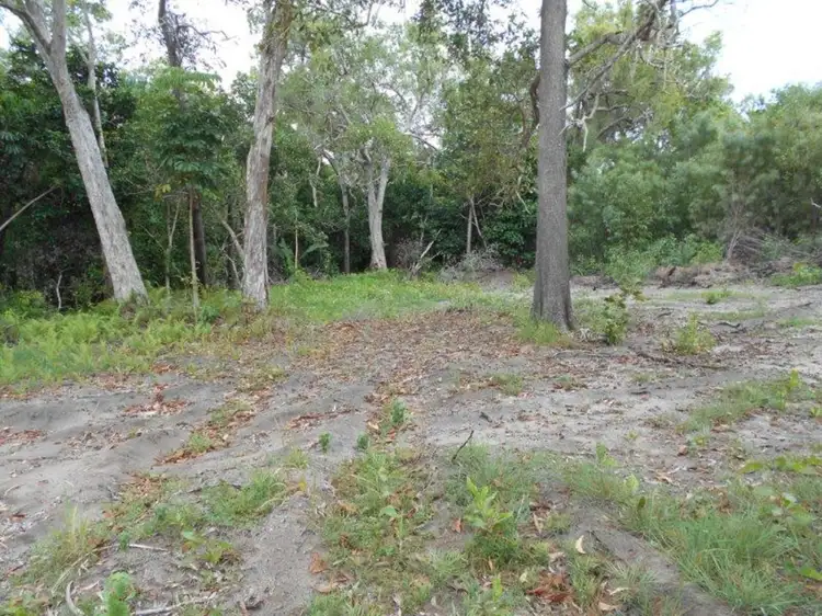 Fifth view of Homely rural property listing, Lot 100 Forrest Beach Road, Forrest Beach QLD 4850