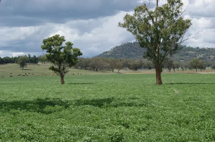 Tongues Road, Quirindi NSW 2343