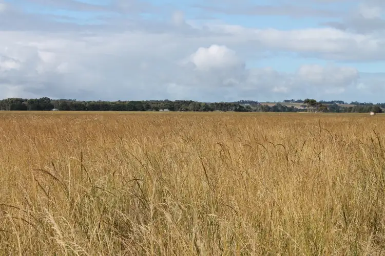 Fifth view of Homely rural property listing, 60 McKays Road, Irrewarra VIC 3249