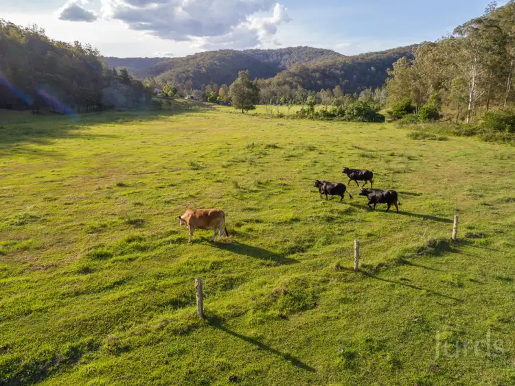 Second view of Homely rural property listing, 2269 Wollombi Road, Wollombi NSW 2325