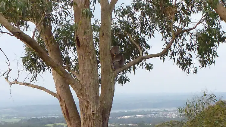 Fourth view of Homely rural property listing, 190 Moe South Road, Moe South VIC 3825