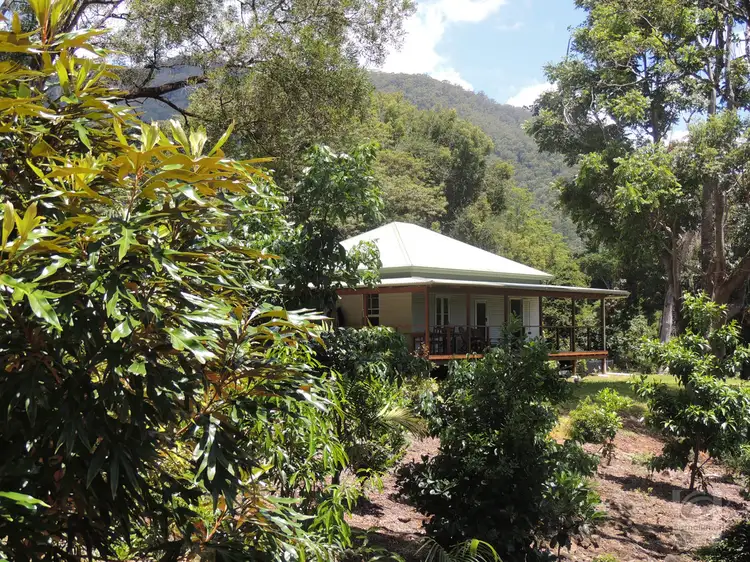 873 Commissioners Ck Road, Commissioners Creek NSW 2484