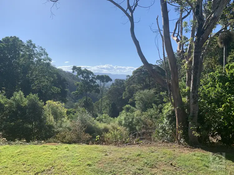 Seventh view of Homely rural property listing, 873 Commissioners Ck Road, Commissioners Creek NSW 2484