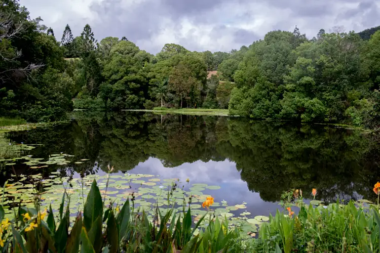 Third view of Homely rural property listing, 26 Mount  Warning Road, Mount Warning NSW 2484