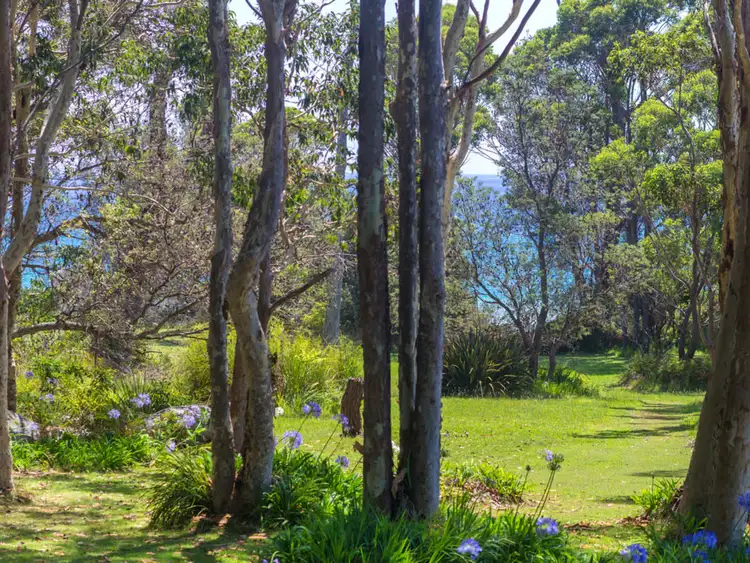 Third view of Homely house listing, 4 Murramarang Road, Bawley Point NSW 2539
