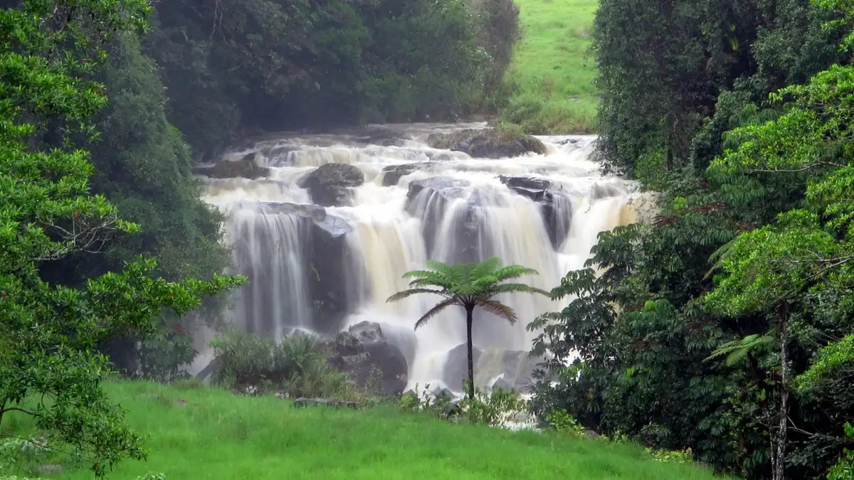 Main view of Homely rural property listing, Address available on request