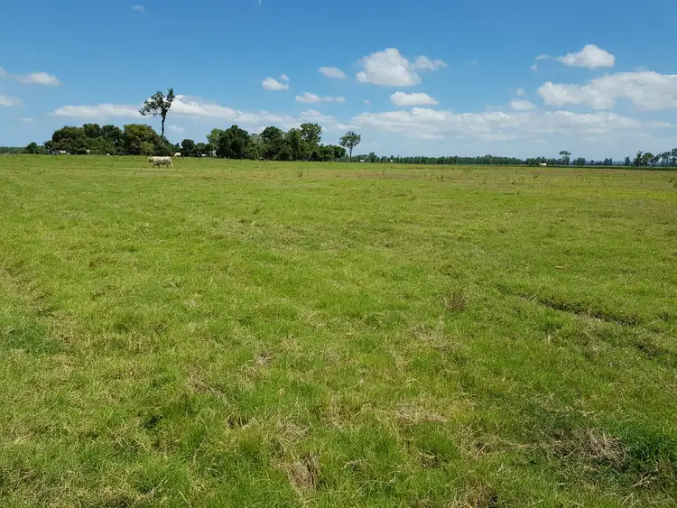 Second view of Homely rural property listing, 604. Lawrence Road, Alumy Creek NSW 2460