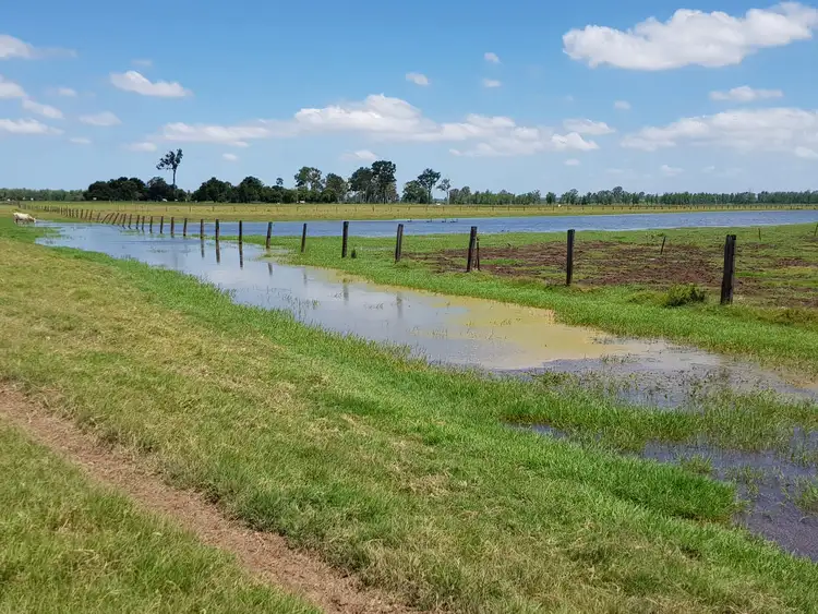 Third view of Homely rural property listing, 604. Lawrence Road, Alumy Creek NSW 2460