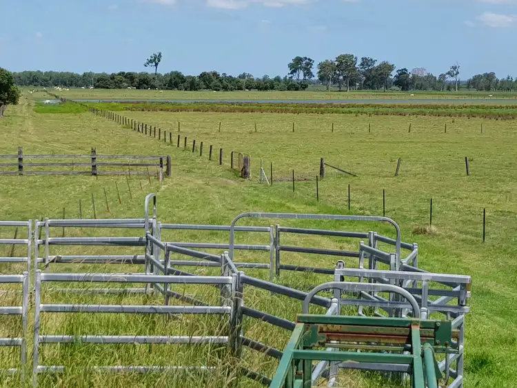 Fourth view of Homely rural property listing, 604. Lawrence Road, Alumy Creek NSW 2460