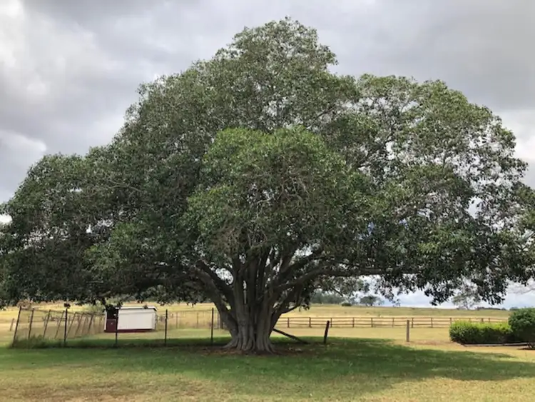 Second view of Homely rural property listing, 4843 Clifton Gatton Road, Clifton QLD 4361