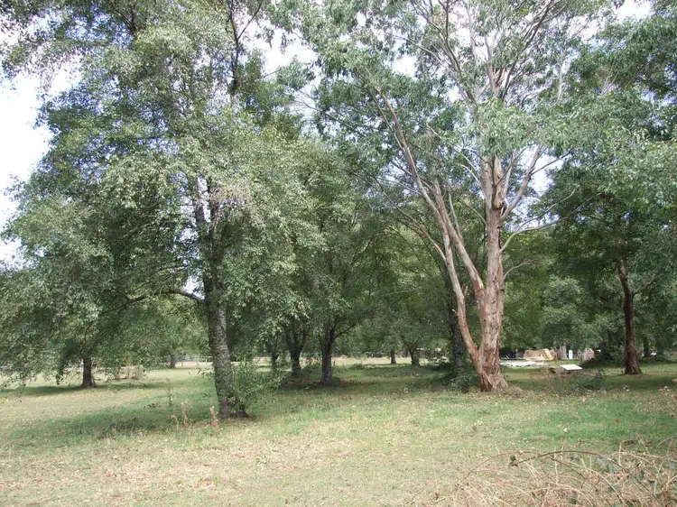 Third view of Homely land listing, Lot 4 Knotts Siding Road, Rawson VIC 3825