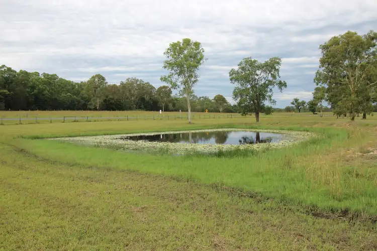 Second view of Homely rural property listing, 1170 Tucabia - Tyndale Road, Tucabia NSW 2462