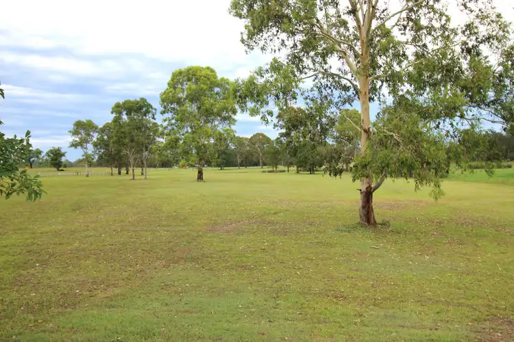 Fifth view of Homely rural property listing, 1170 Tucabia - Tyndale Road, Tucabia NSW 2462