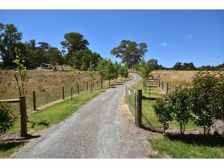 Second view of Homely rural property listing, 719 Forreston Road, Forreston SA 5233