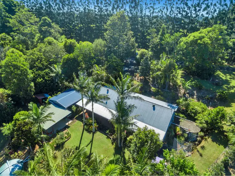 519 Humpty Back Road, Pearces Creek NSW 2477