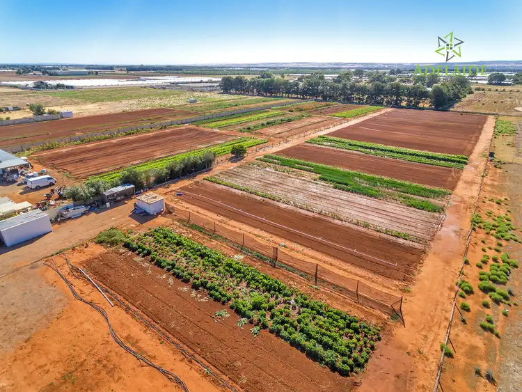 LOT 5 Bailey Road, Virginia SA 5120