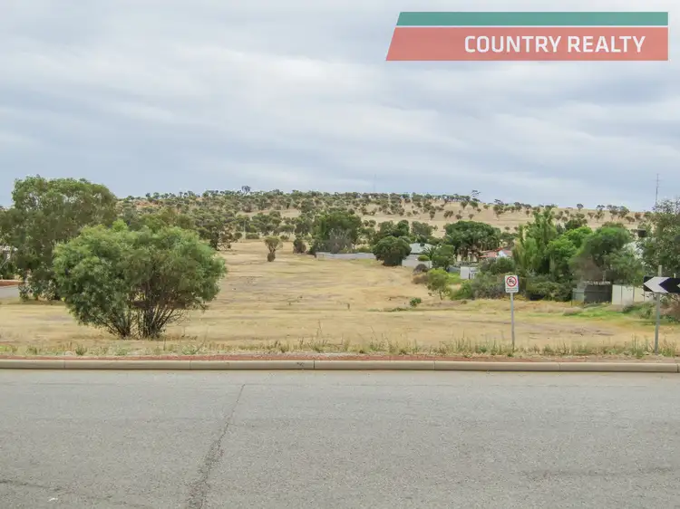 14 Robinson Street, Northam WA 6401