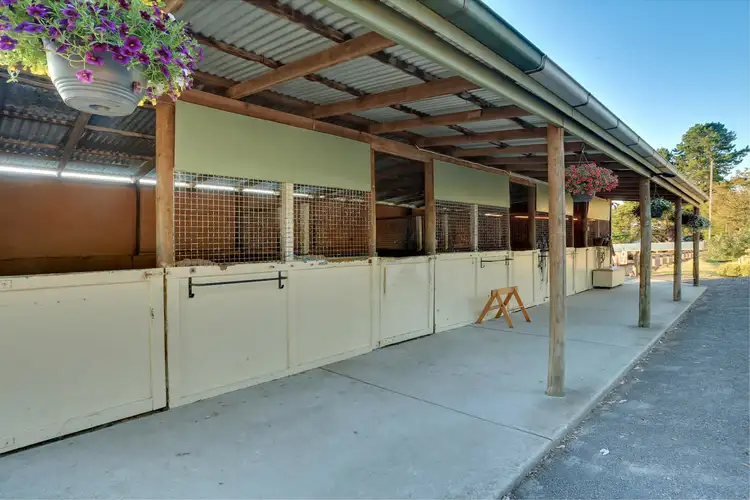 Fifth view of Homely house listing, 5 Coopers Road, Macclesfield VIC 3782
