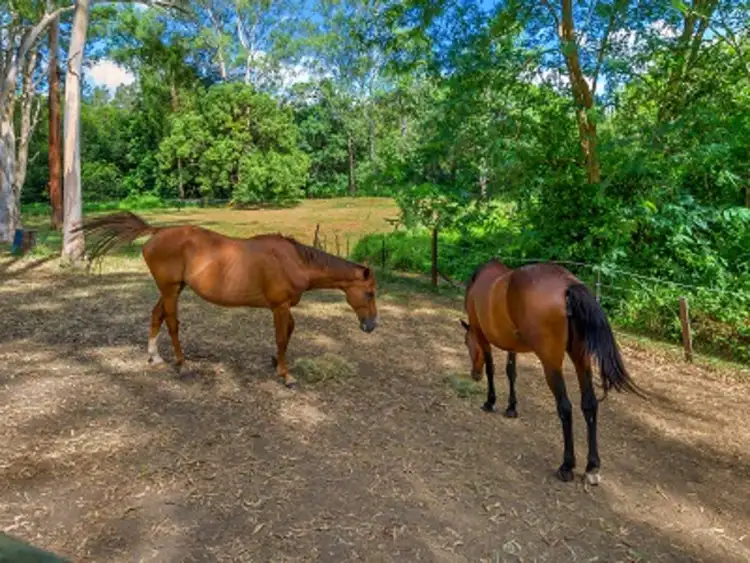 Second view of Homely rural property listing, 31 Amanda Street, Brookfield QLD 4069
