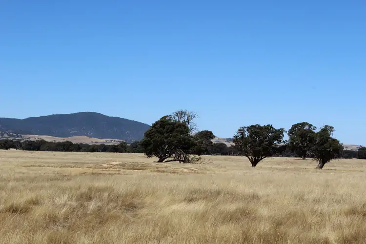 Fourth view of Homely rural property listing, 11 Buangor-Ben Nevis Road, Buangor VIC 3375