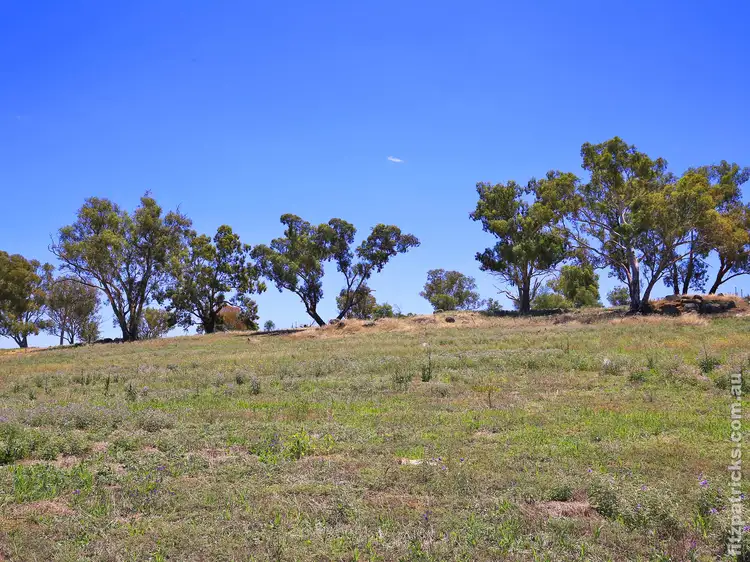 Main view of Homely land listing, 42 Matilda Crescent, Gumly Gumly NSW 2652