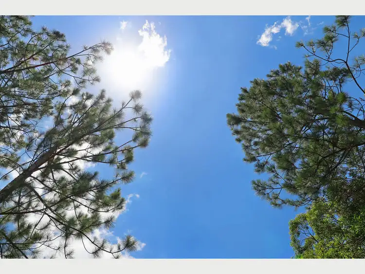 Fifth view of Homely land listing, 35 Springlands Place, Highvale QLD 4520