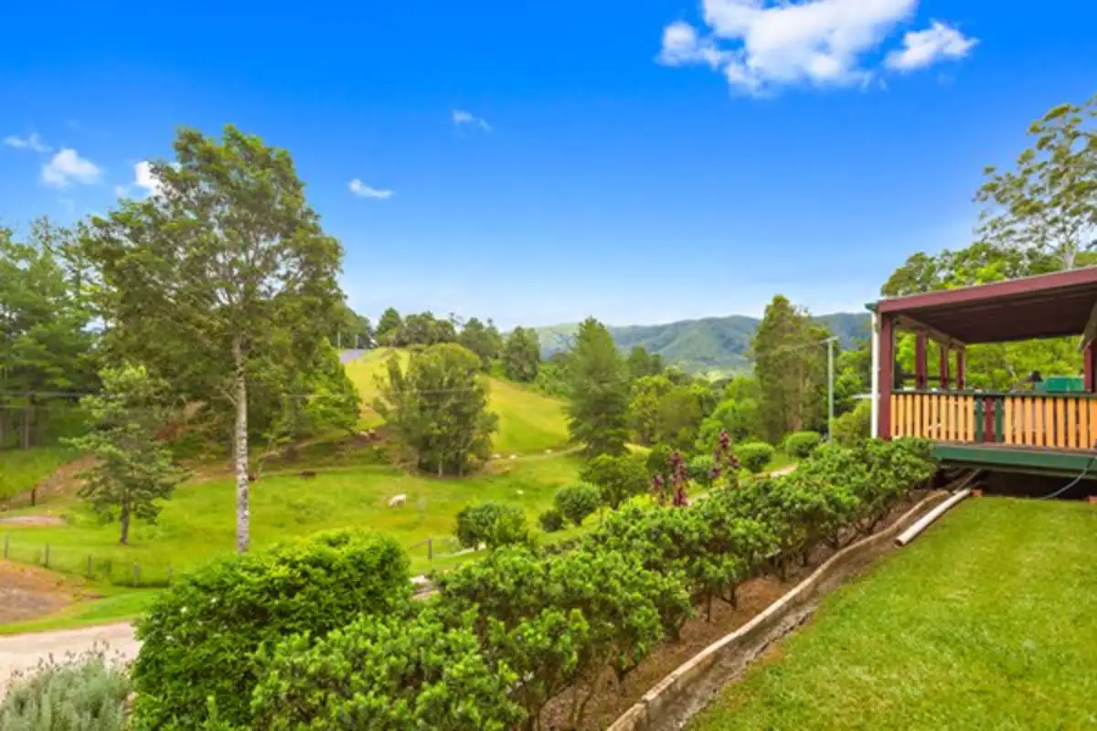 Main view of Homely rural property listing, 79 Malabar Avenue, Uki NSW 2484