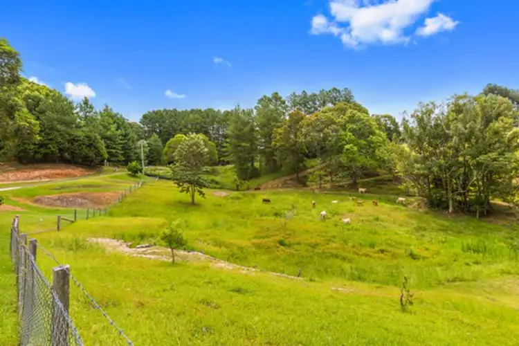 Second view of Homely rural property listing, 79 Malabar Avenue, Uki NSW 2484