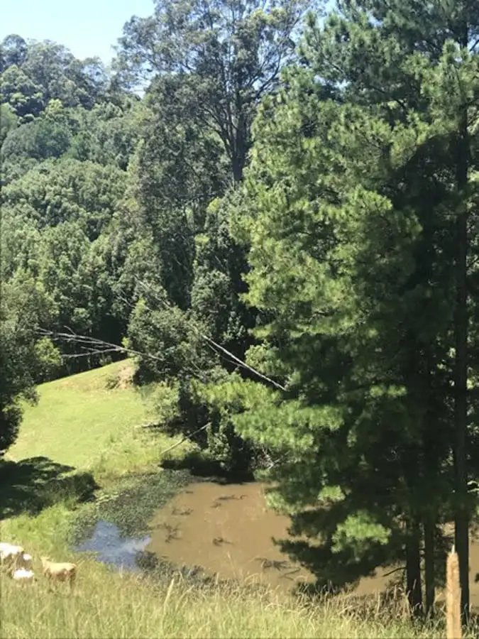 Fifth view of Homely rural property listing, 79 Malabar  Avenue, Uki NSW 2484