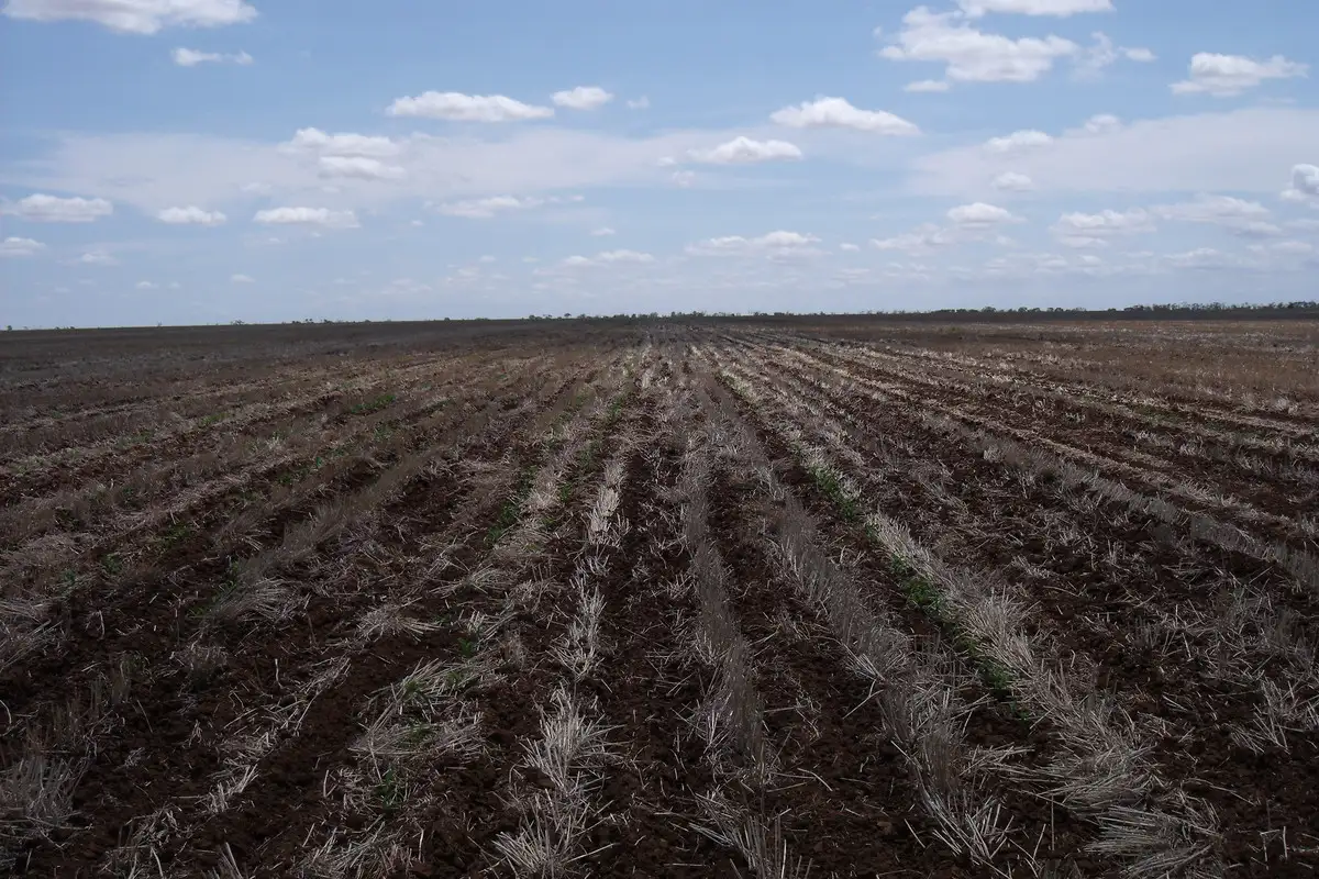 Main view of Homely rural property listing, Address available on request