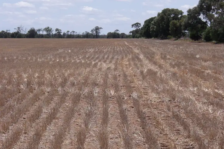 Fourth view of Homely rural property listing, Address available on request