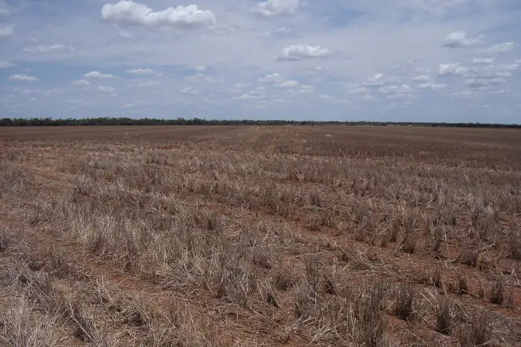 Fifth view of Homely rural property listing, Address available on request