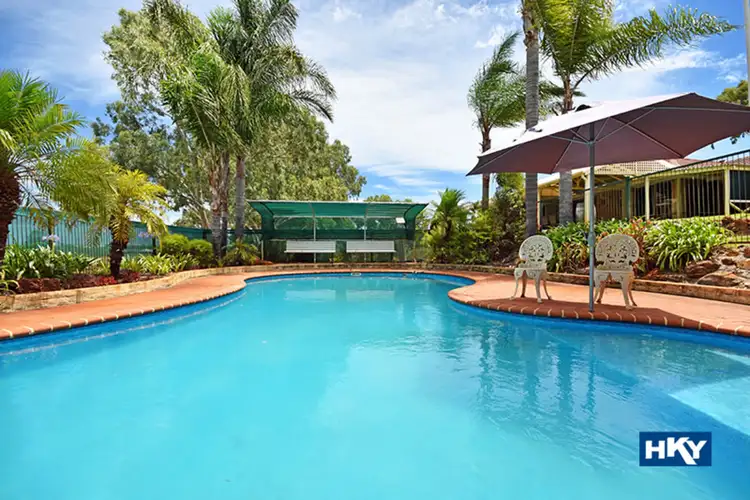 Main view of Homely house listing, 31 Tokay Lane, The Vines WA 6069