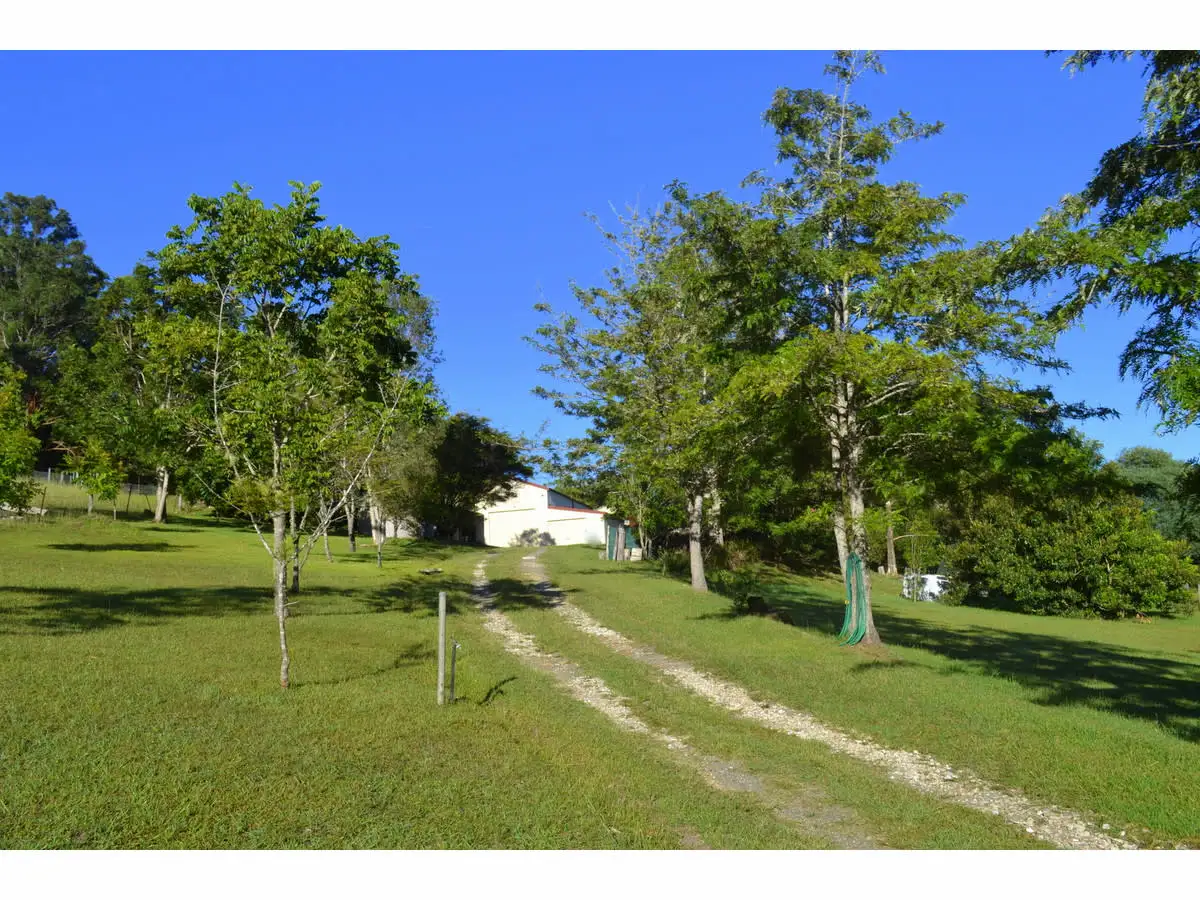 Main view of Homely rural property listing, 685 Reids Road, Ballengarra NSW 2441