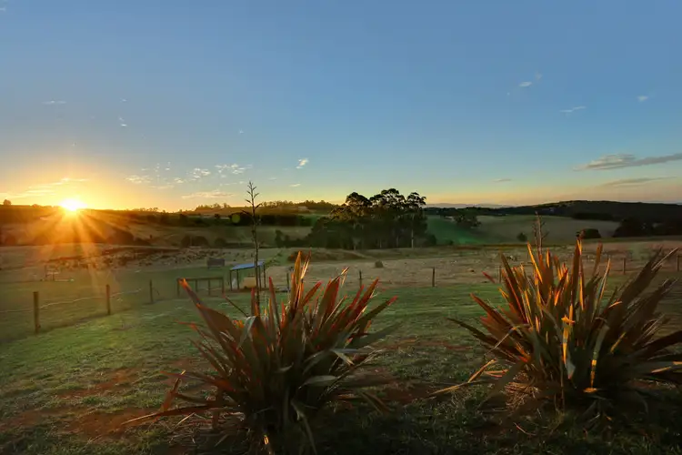Fourth view of Homely house listing, 201 Ure Road, Gembrook VIC 3783
