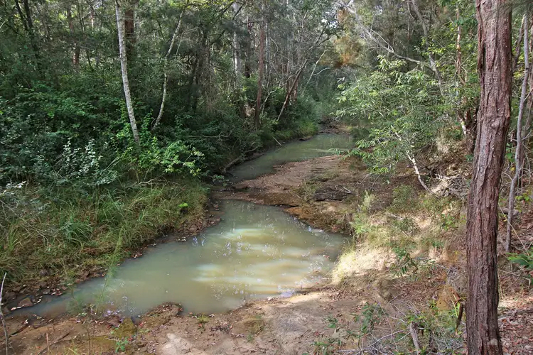 Second view of Homely rural property listing, LOT 68, 50 & 15 Ryries Road, Lawrence NSW 2460